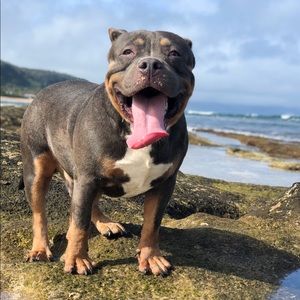 Meet your Posher, Nainoa